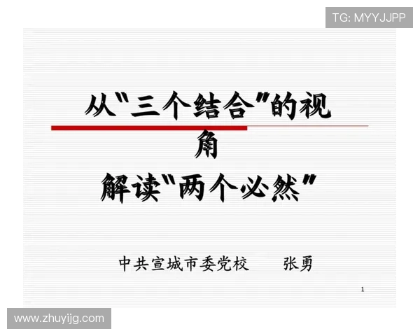 深圳羽毛球队的节奏与战术分析探讨及其在比赛中的应用